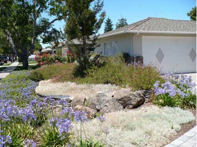 Lois Miller Garden Design