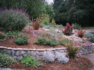 Lois Miller Garden Design